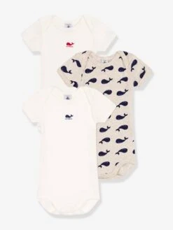 Lot 3 Bodies Manches Courtes Imprimé Baleine PETIT BATEAU - Blanc