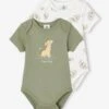 Lot De 2 Bodies Bébé Manches Courtes Disney® Le Roi Lion - Kaki -PETIT BATEAU Soldes Magasin lot de 2 bodies bebe manches courtes disney le roi lion
