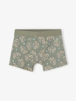 Lot De 3 Boxers Disney® Le Roi Lion - Kaki 7 Lot De 3 Boxers Disney® Le Roi Lion - Kaki -PETIT BATEAU Soldes Magasin lot de 3 boxers disney le roi lion 3