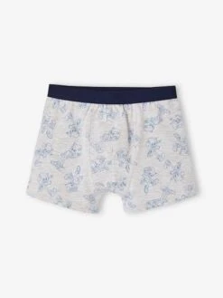 Lot De 3 Boxers Sonic® - Marine -PETIT BATEAU Soldes Magasin lot de 3 boxers sonic 2