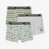 Lot De 3 Boxers Stretch "tractopelle" Garçon - Vert Sauge -PETIT BATEAU Soldes Magasin lot de 3 boxers stretch tractopelle garcon