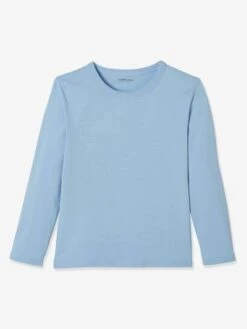 Lot De 3 T-shirts Garçon Manches Longues BASICS - Lot Camaieu Bleu -PETIT BATEAU Soldes Magasin lot de 3 t shirts garcon manches longues basics 3