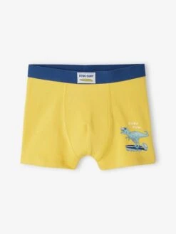 Lot De 4 Boxers Stretch "dino Surf" Garçon En Coton Bio - Jaune -PETIT BATEAU Soldes Magasin lot de 4 boxers stretch dino surf garcon en coton bio 2