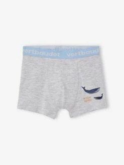 Lot De 5 Boxers Stretch Garçon Baleines - Lot Bleu -PETIT BATEAU Soldes Magasin lot de 5 boxers stretch garcon baleines 2