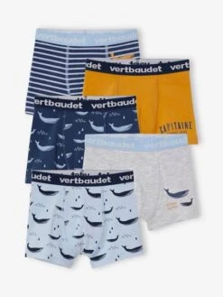 Lot De 5 Boxers Stretch Garçon Baleines - Lot Bleu