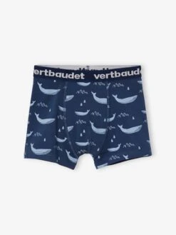 Lot De 5 Boxers Stretch Garçon Baleines - Lot Bleu -PETIT BATEAU Soldes Magasin lot de 5 boxers stretch garcon baleines 3