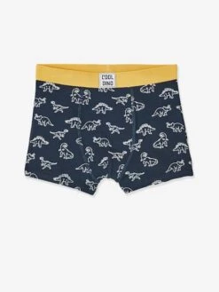 Lot De 5 Boxers Stretch Garçon Dino - Lot 5 -PETIT BATEAU Soldes Magasin lot de 5 boxers stretch garcon dino 2