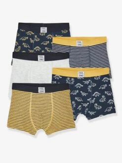 Lot De 5 Boxers Stretch Garçon Dino - Lot 5