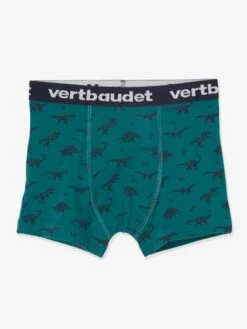 Lot De 5 Boxers Stretch Garçon Dinosaures - Lot Aop Dino -PETIT BATEAU Soldes Magasin lot de 5 boxers stretch garcon dinosaures 3