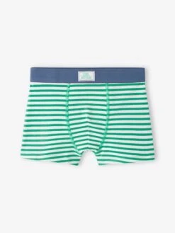 PETIT BATEAU Soldes Magasin -PETIT BATEAU Soldes Magasin lot de 5 boxers stretch skate garcon 1