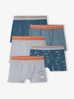 Lot De 5 Boxers Stretch Yéti Garçon - Bleu Grisé