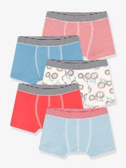 Lot De 5 Boxers Tracteur En Coton Petit Garçon PETIT BATEAU - Multicolore