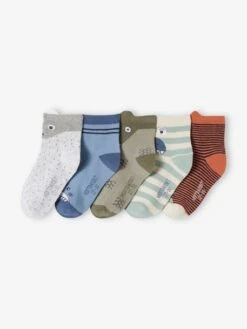 Lot De 5 Paires De Chaussettes Animaux Garçon - Lichen