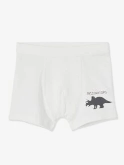 Lot De 7 Boxers Stretch Garçon Dinosaures - Lot Ivoire -PETIT BATEAU Soldes Magasin lot de 7 boxers stretch garcon dinosaures 1
