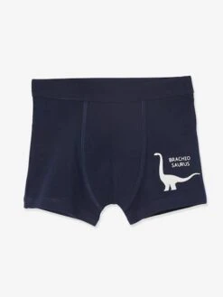 Lot De 7 Boxers Stretch Garçon Dinosaures - Lot Ivoire -PETIT BATEAU Soldes Magasin lot de 7 boxers stretch garcon dinosaures 2