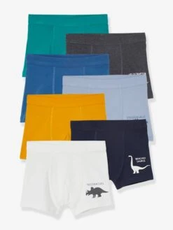 Lot De 7 Boxers Stretch Garçon Dinosaures - Lot Ivoire