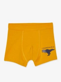 Lot De 7 Boxers Stretch Garçon Dinosaures - Lot Ivoire -PETIT BATEAU Soldes Magasin lot de 7 boxers stretch garcon dinosaures 3