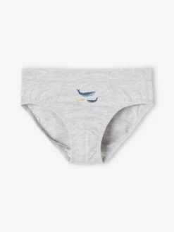 Lot De 7 Slips Stretch Baleines Garçon En Coton Bio - Bleu Ciel -PETIT BATEAU Soldes Magasin lot de 7 slips stretch baleines garcon en coton bio 2