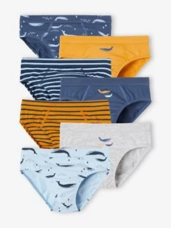 Lot De 7 Slips Stretch Baleines Garçon En Coton Bio - Bleu Ciel