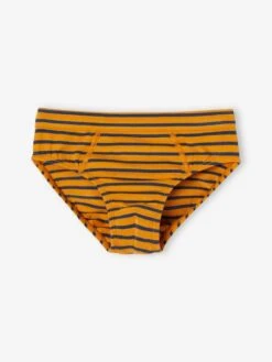 Lot De 7 Slips Stretch Baleines Garçon En Coton Bio - Bleu Ciel -PETIT BATEAU Soldes Magasin lot de 7 slips stretch baleines garcon en coton bio 3